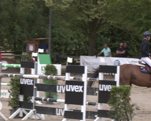 Reitturnier Münster-Roxel 2025