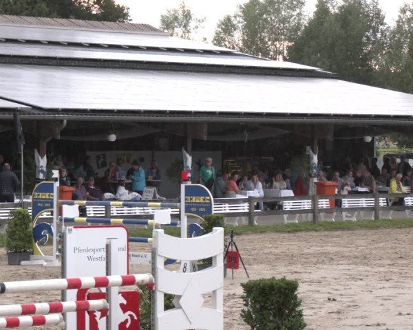 Reitturnier Münster-Roxel 2025