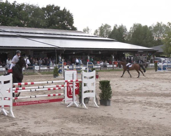 Reitturnier Münster-Roxel 2025