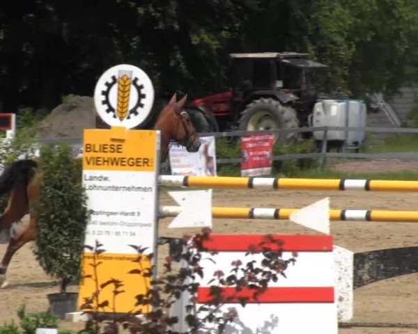 Iserlohn-Kalthof 2014