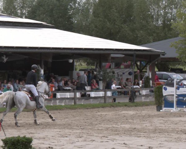 Reitturnier Münster-Roxel 2025