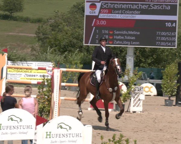 Reitturnier Lindlar-Süttenbach 2025