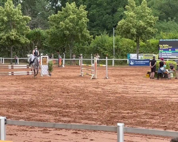 Video von Chupa Smart