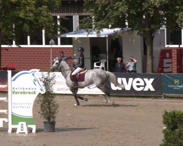 Reitturnier Münster-Roxel 2025