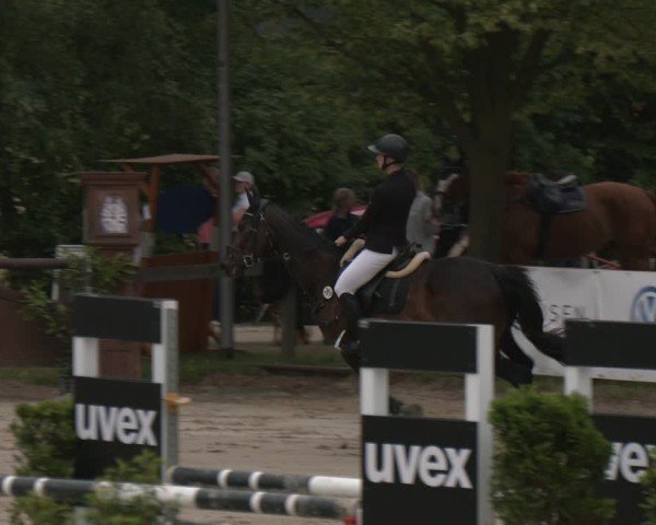 Reitturnier Münster-Roxel 2025