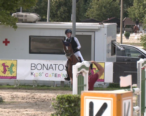 Reitturnier Münster-Roxel 2025