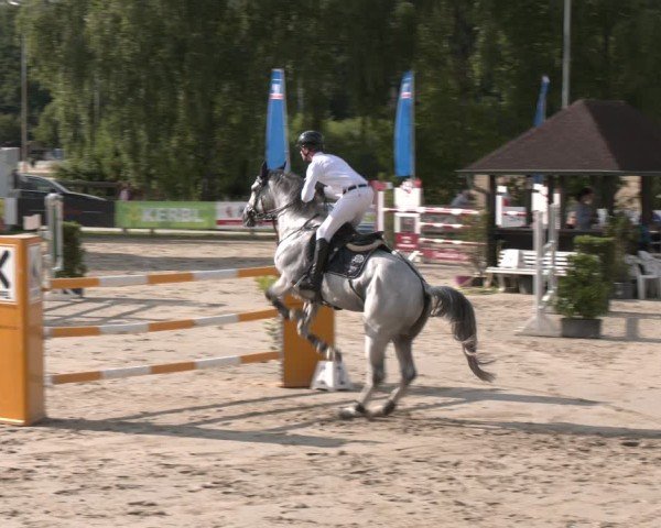 Reitturnier Münster-Roxel 2025