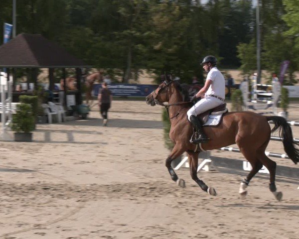 Reitturnier Münster-Roxel 2025