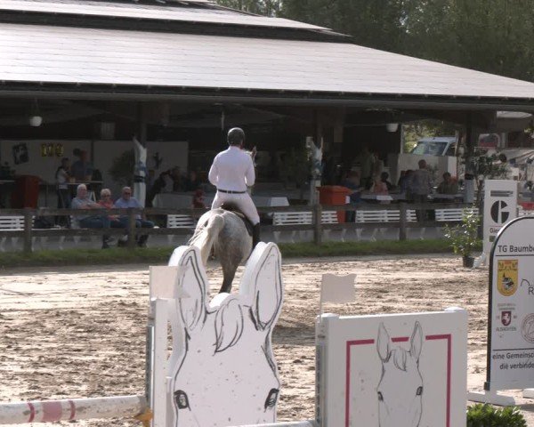 Reitturnier Münster-Roxel 2025