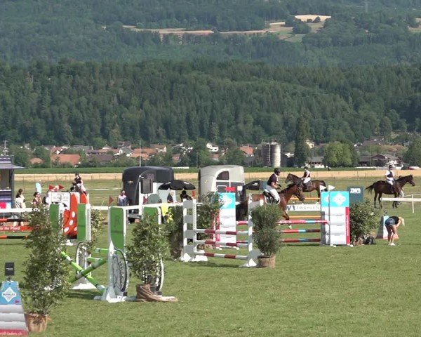 Reitturnier Büren an der Aare 2025