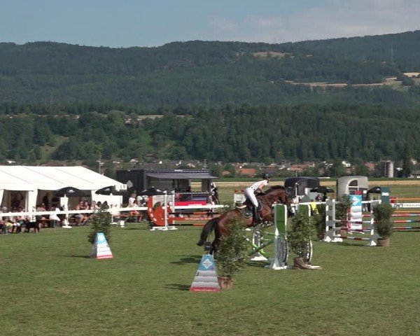 Reitturnier Büren an der Aare 2025