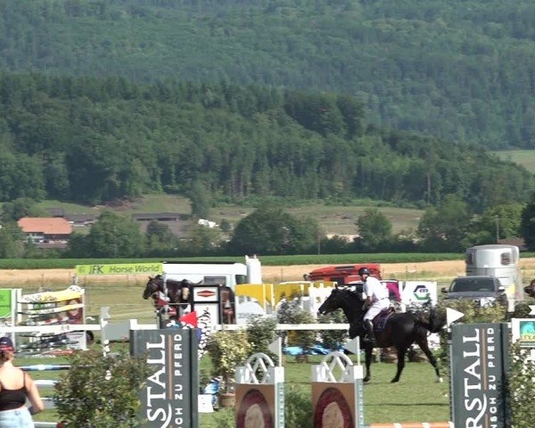 Reitturnier Büren an der Aare 2025