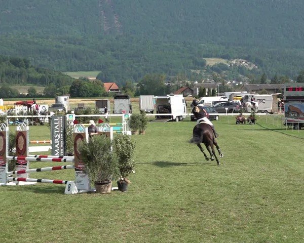 Reitturnier Büren an der Aare 2025