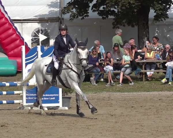 Reitturnier Kandersteg 2025