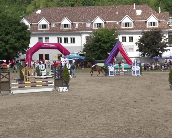 Reitturnier Kandersteg 2025