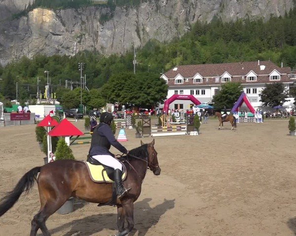 Reitturnier Kandersteg 2025