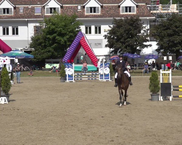 Reitturnier Kandersteg 2025