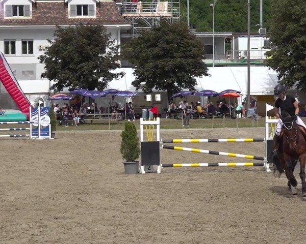 Reitturnier Kandersteg 2025