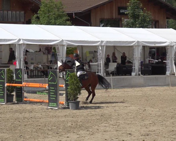 Reitturnier Kandersteg 2025
