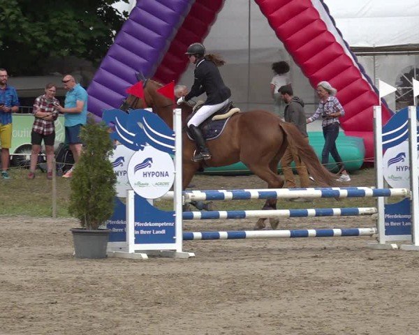 Reitturnier Kandersteg 2025