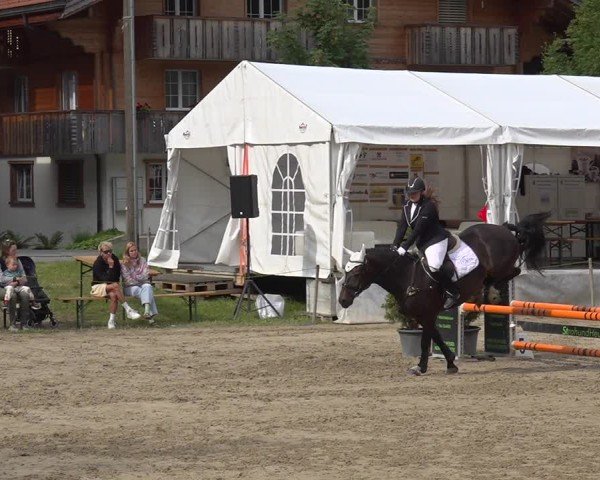 Reitturnier Kandersteg 2025