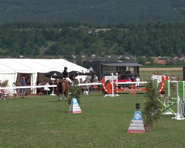 Reitturnier Büren an der Aare 2025