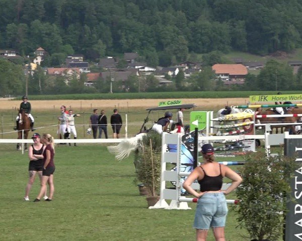 Reitturnier Büren an der Aare 2025