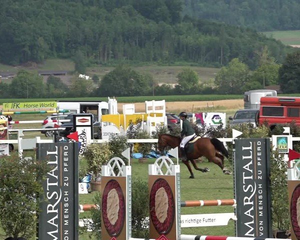 Reitturnier Büren an der Aare 2025
