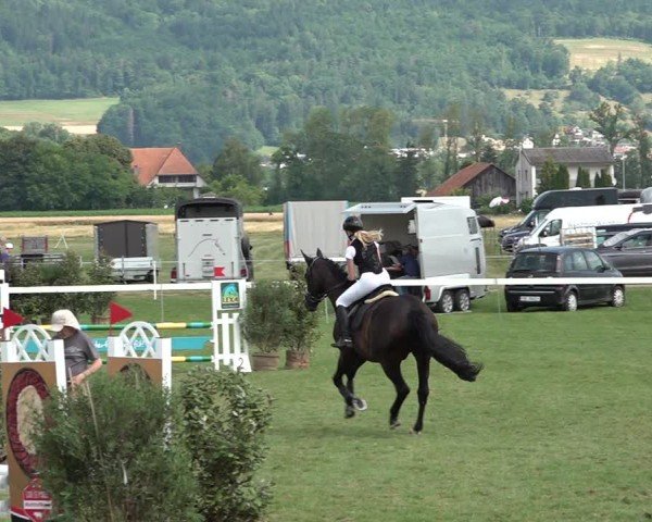 Reitturnier Büren an der Aare 2025