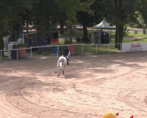 Reitturnier Stadl-Paura 2025
