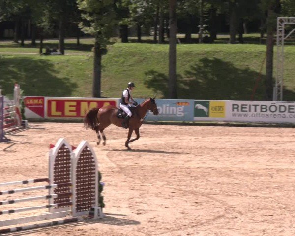 Reitturnier Stadl-Paura 2025
