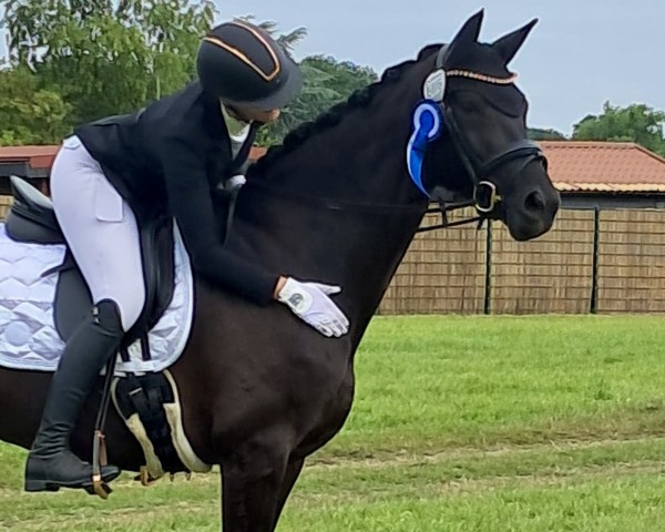 dressage horse Maximaa (Westphalian, 2018, from E.H. Millennium)