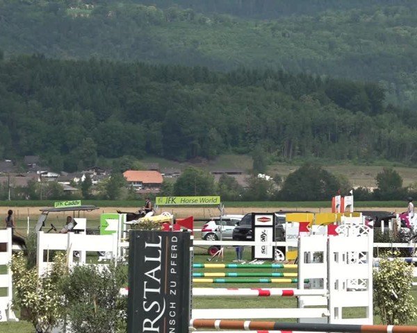Reitturnier Büren an der Aare 2025