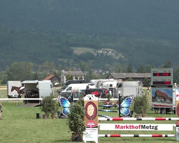 Reitturnier Büren an der Aare 2025