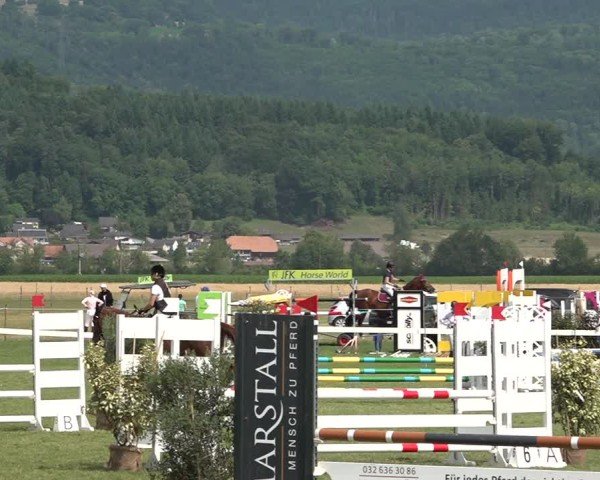 Reitturnier Büren an der Aare 2025