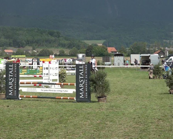 Reitturnier Büren an der Aare 2025
