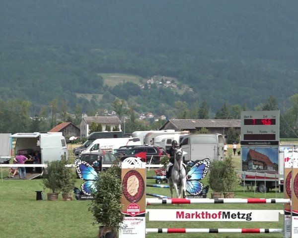 Reitturnier Büren an der Aare 2025