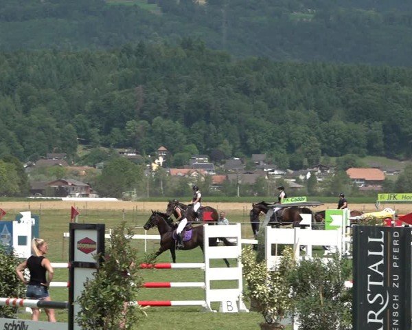 Reitturnier Büren an der Aare 2025