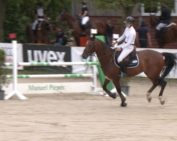 Reitturnier Münster-Roxel 2025