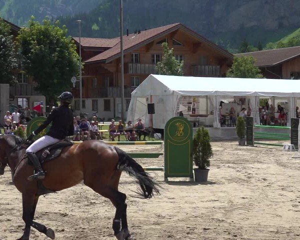 Reitturnier Kandersteg 2025