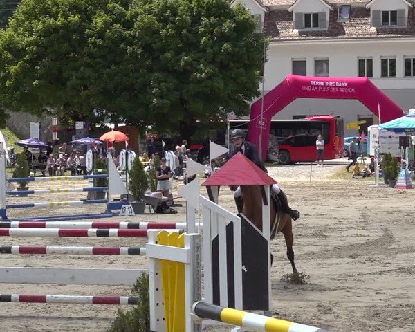Reitturnier Kandersteg 2025