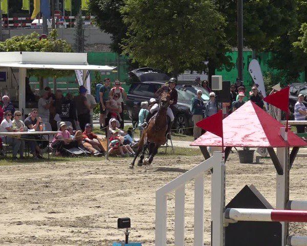 Reitturnier Kandersteg 2025