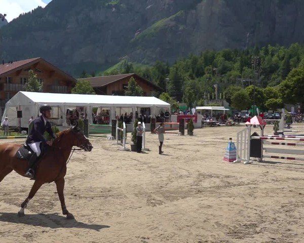 Reitturnier Kandersteg 2025