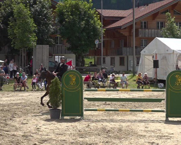 Reitturnier Kandersteg 2025