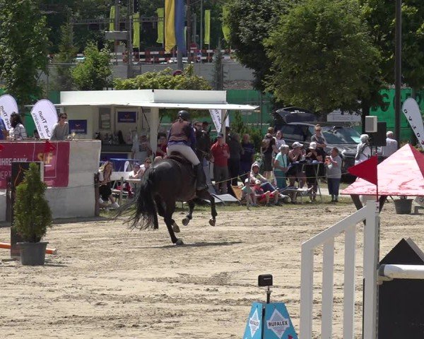Reitturnier Kandersteg 2025