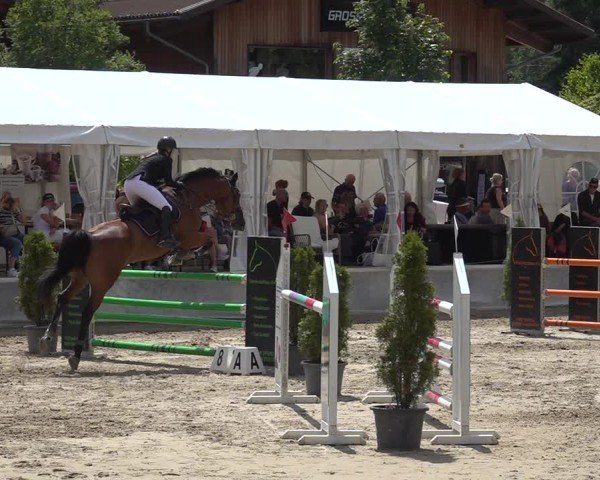 Reitturnier Kandersteg 2025