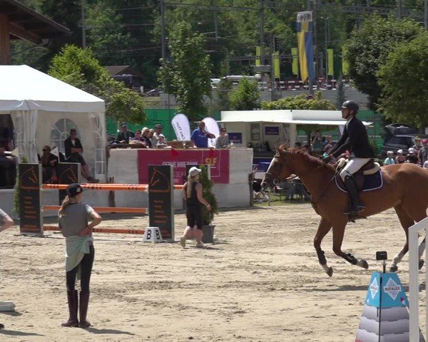 Reitturnier Kandersteg 2025