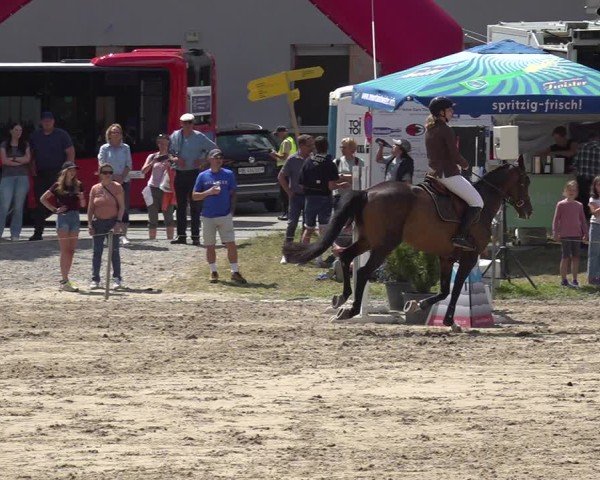 Reitturnier Kandersteg 2025