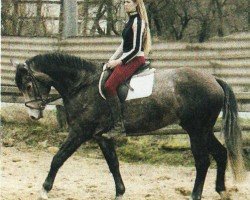 jumper Luxor 115 (Hessian Warmblood, 2000, from Le Duc)