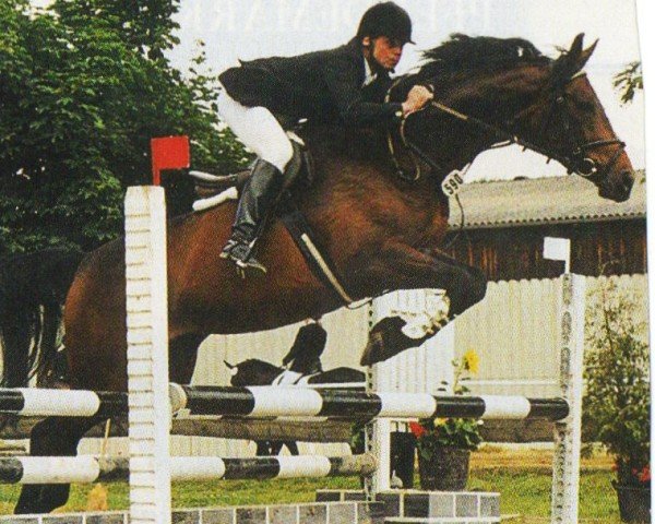 broodmare Salina (Hanoverian, 1997, from Saint Cloud)